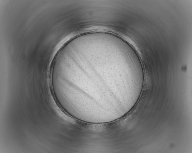 X0000090871090200708171620