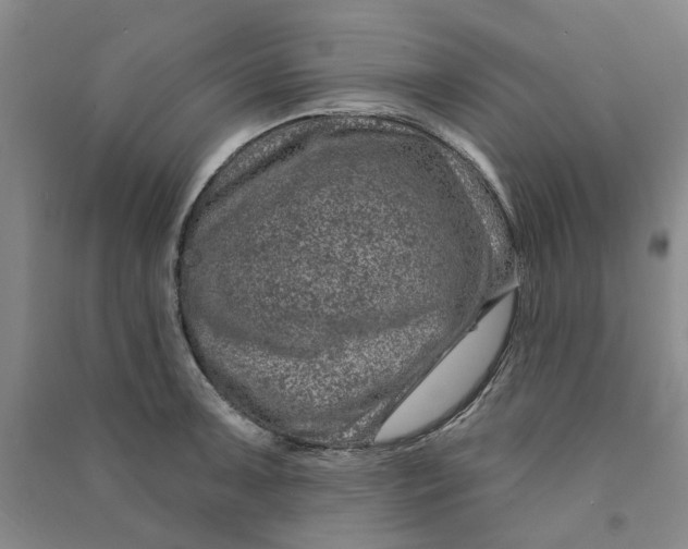 X0000090871091200708171620