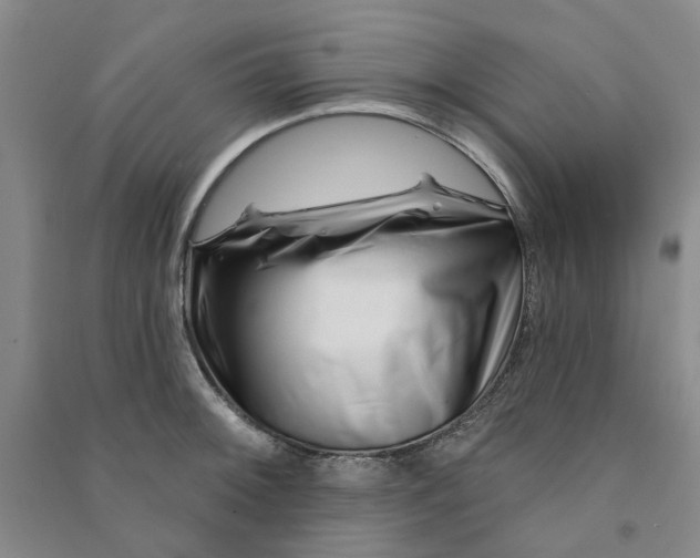 X0000090871092200708171620