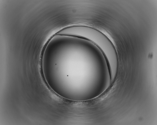 X0000090871093200708171620