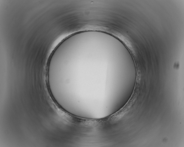 X0000090871094200708171620