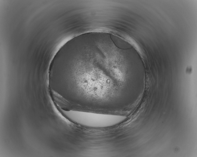 X0000090871095200708171620