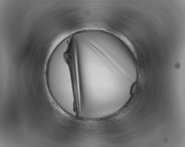 X0000090871096200708171620