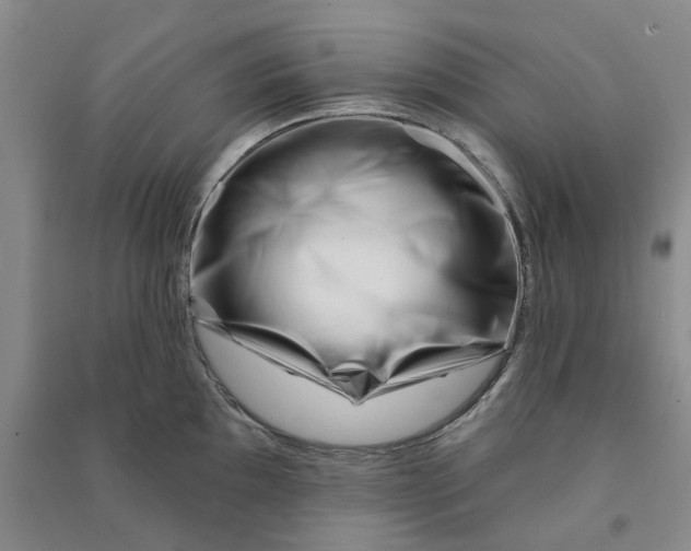 X0000090871097200708171620