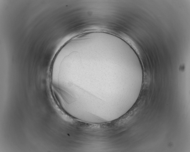 X0000090871098200708171620