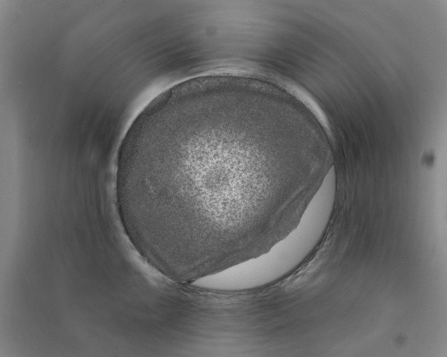 X0000090871099200708171620