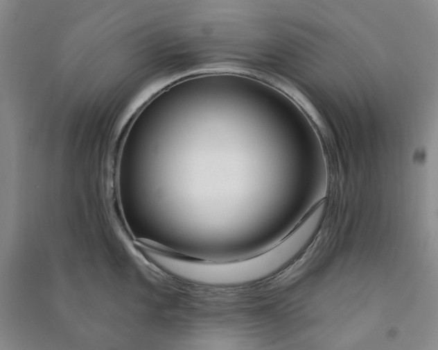 X0000090871101200708171620