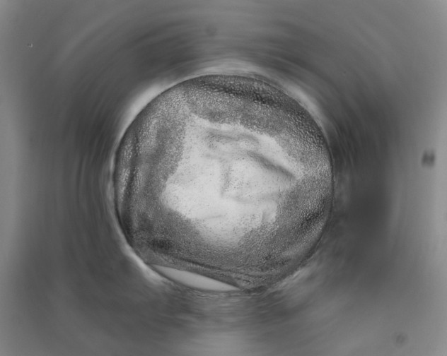 X0000090871103200708171620