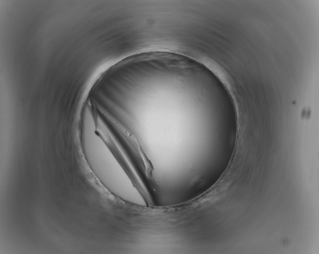 X0000090871104200708171620