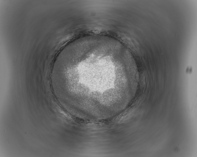 X0000090871105200708171619