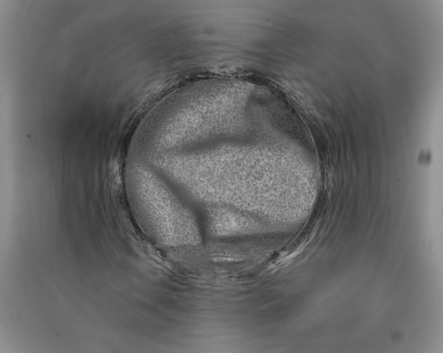 X0000090871106200708171619