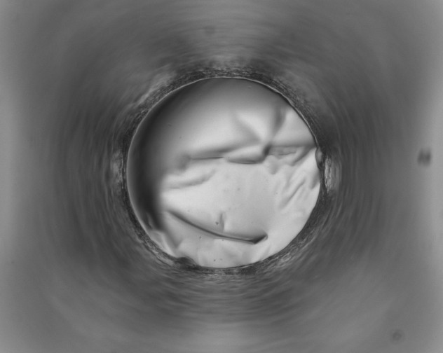 X0000090871107200708171619