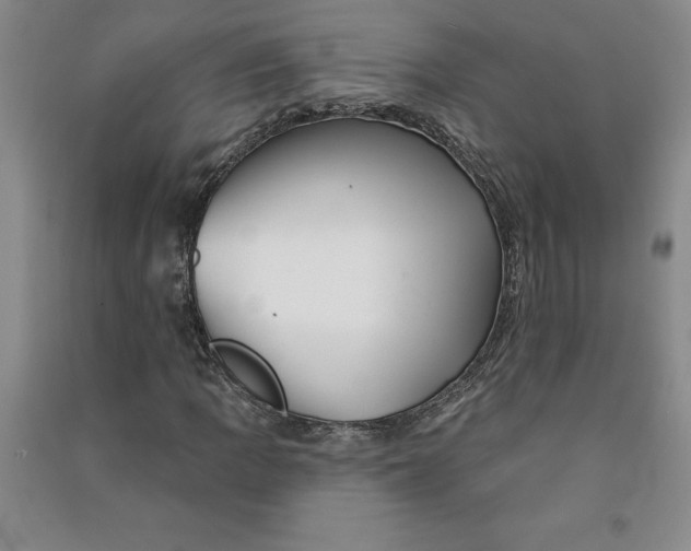 X0000090871109200708171619