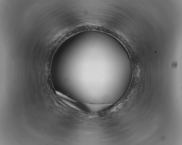 X0000090871110200708171620