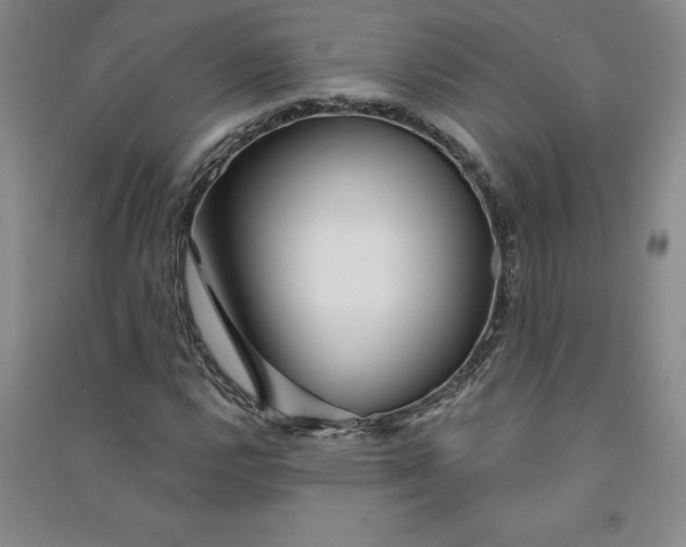 X0000090871112200708171620