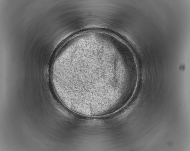 X0000090871113200708171620