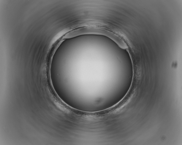 X0000090871114200708171620