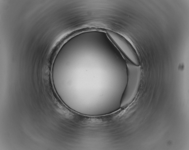 X0000090871115200708171620