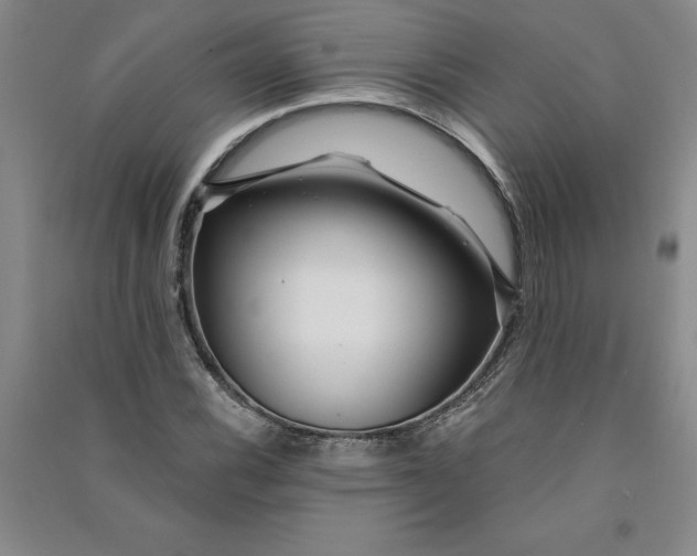 X0000090871116200708171620