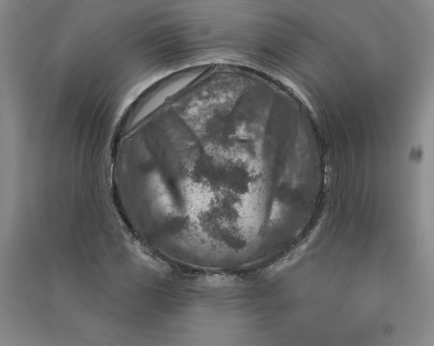 X0000090871117200708171620