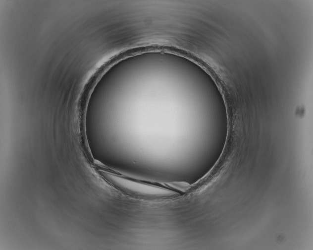 X0000090871118200708171620