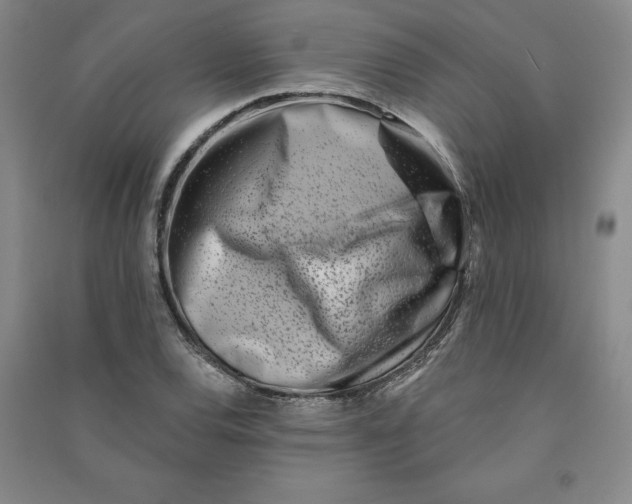 X0000090871120200708171620