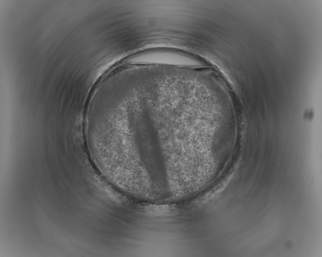 X0000090871121200708171620