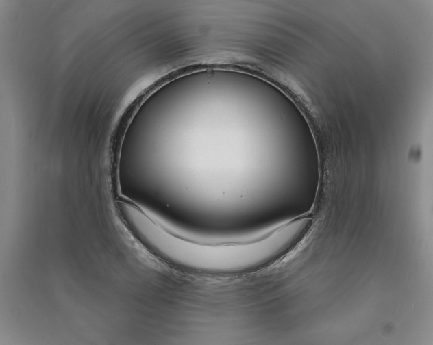 X0000090871122200708171620