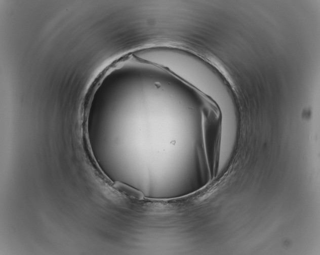 X0000090871124200708171620