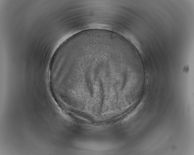 X0000090871125200708171620