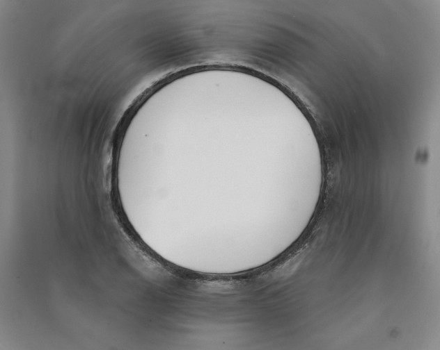 X0000090871126200708171620