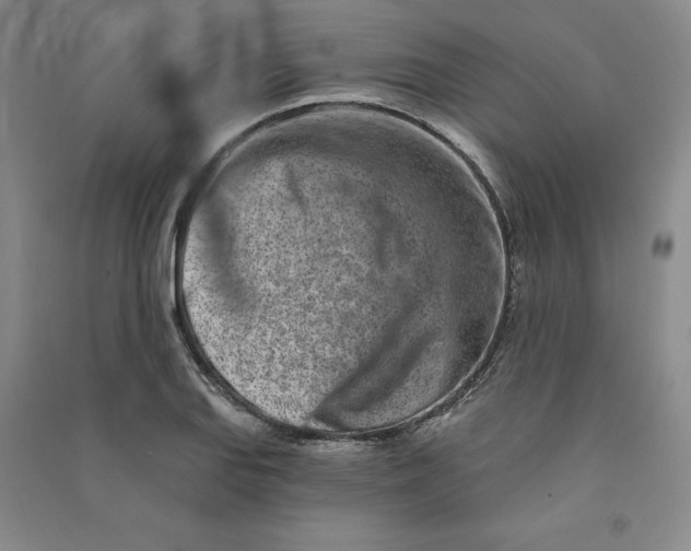 X0000090871127200708171620