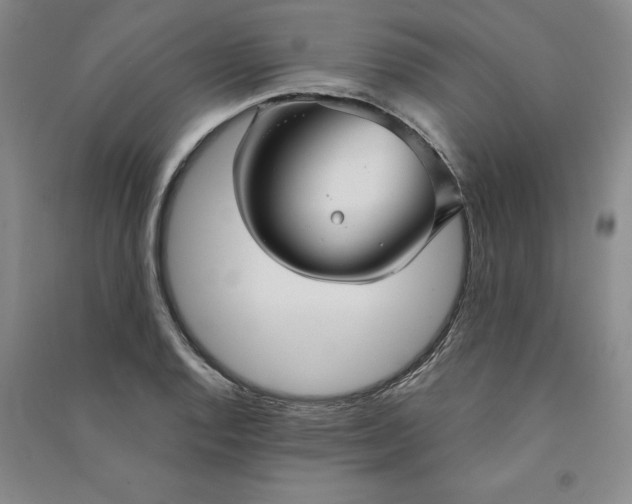 X0000090871128200708171620