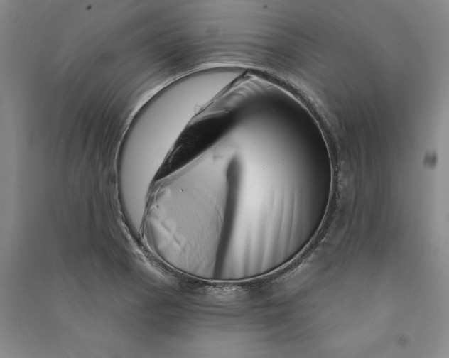 X0000090871129200708171620