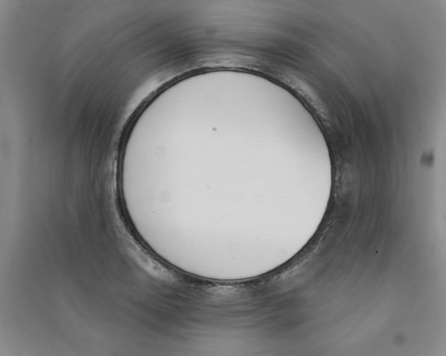 X0000090871130200708171620