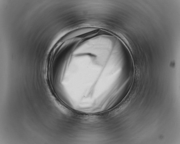 X0000090871131200708171620