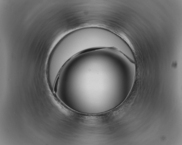 X0000090871132200708171620