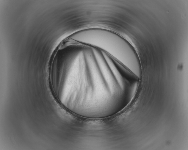 X0000090871133200708171620