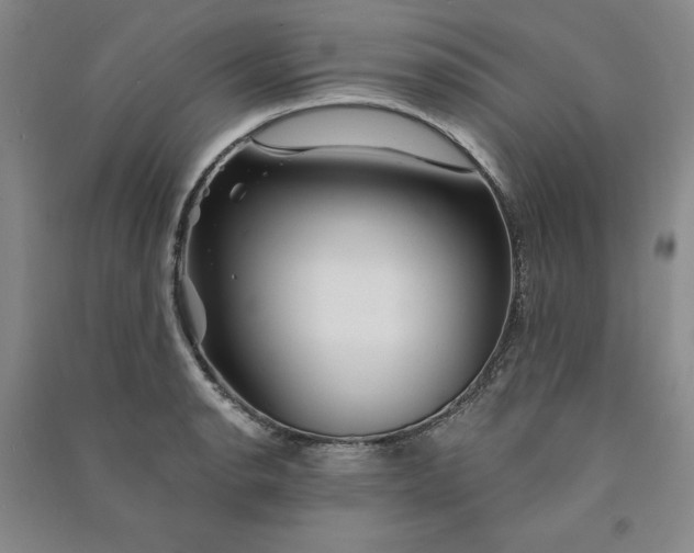 X0000090871134200708171620