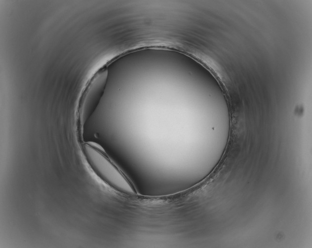 X0000090871135200708171620