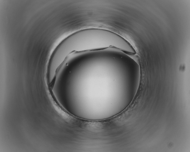 X0000090871136200708171620