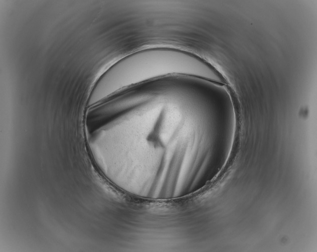 X0000090871137200708171620