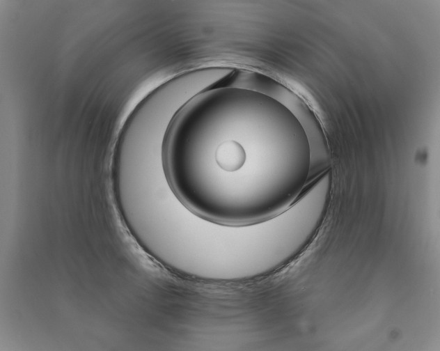 X0000090871138200708171620