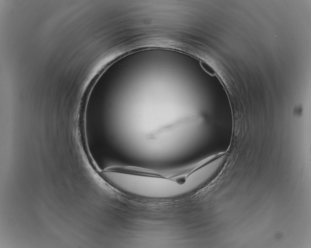 X0000090871139200708171620