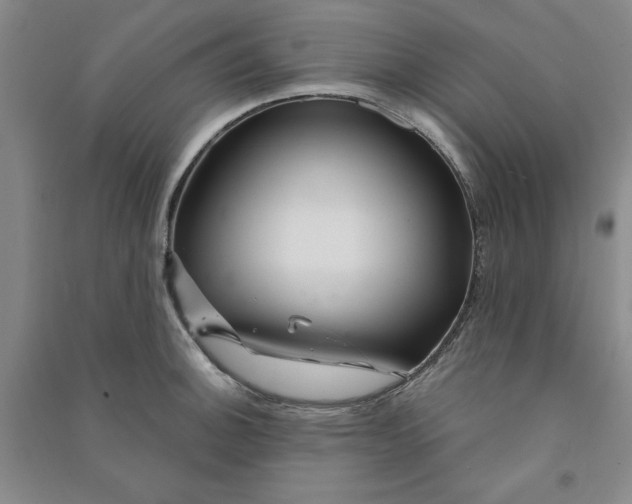 X0000090871140200708171620