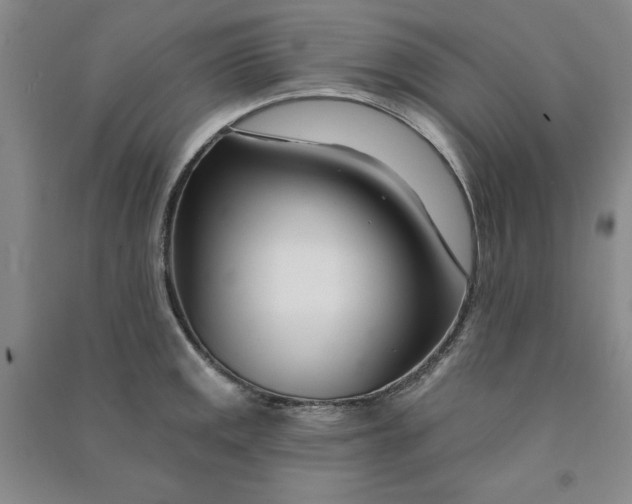 X0000090871141200708171620