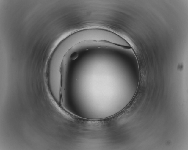 X0000090871142200708171620