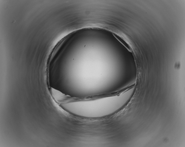 X0000090871143200708171620