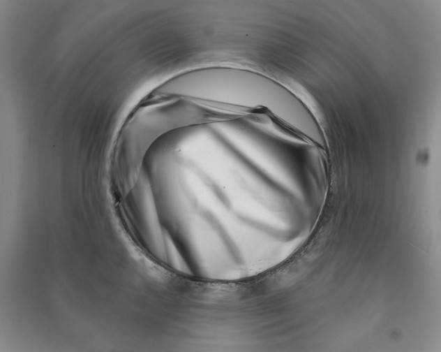 X0000090871144200708171620