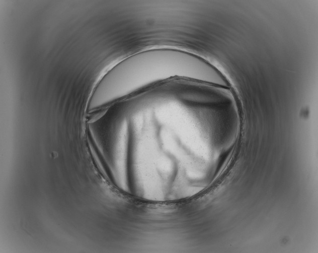 X0000090871145200708171620